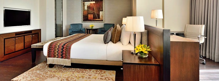 287/Radisson - Noida 14.jpg